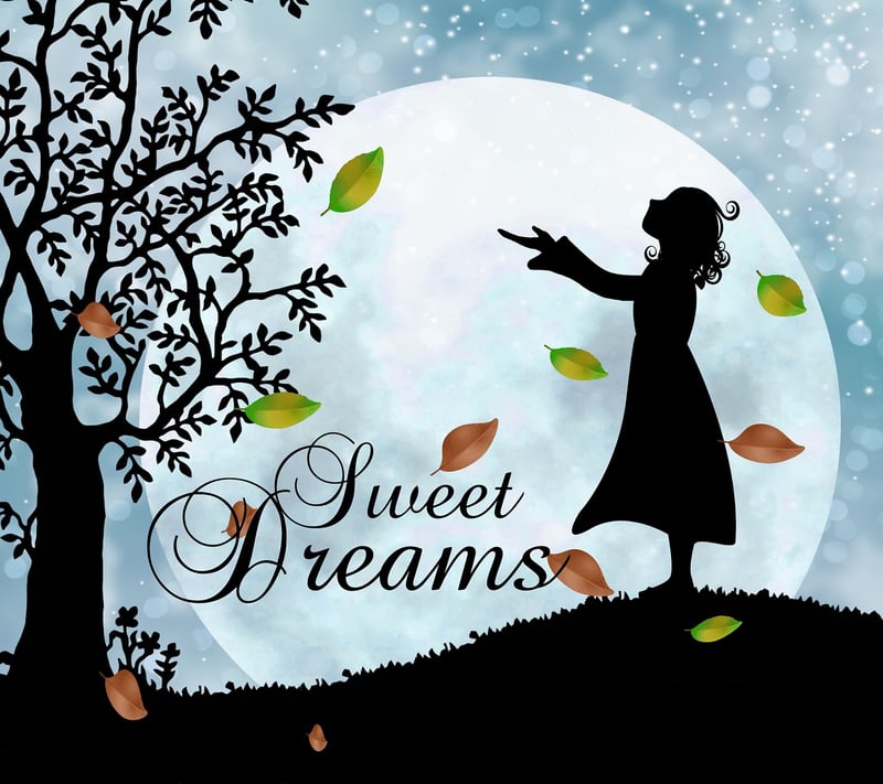 Falling Dream